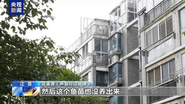 央视起底“魔鬼鱼养殖骗局” 高回报背后的诈骗陷阱