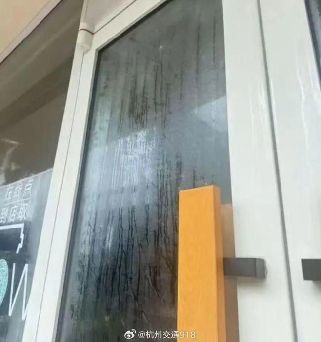 浙江人潮濕得要長鰓了：濕熱超亞馬孫雨林