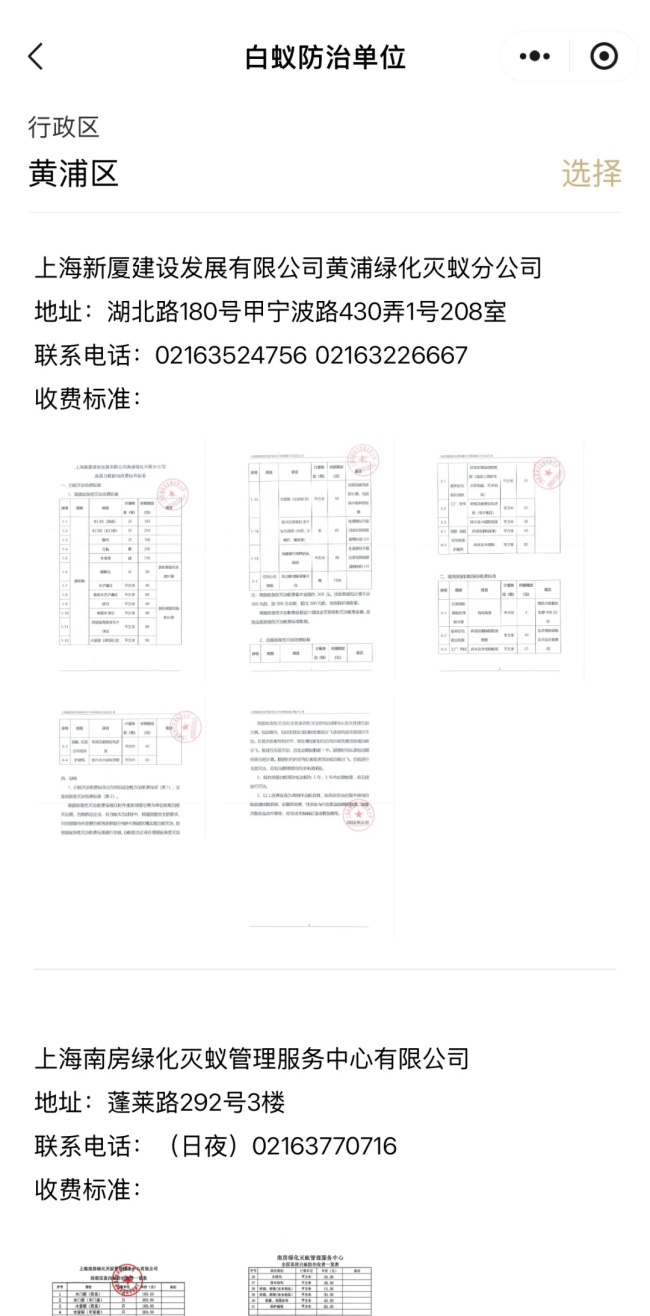 上海白蚁高发季来袭 家中边缘现“土丘”