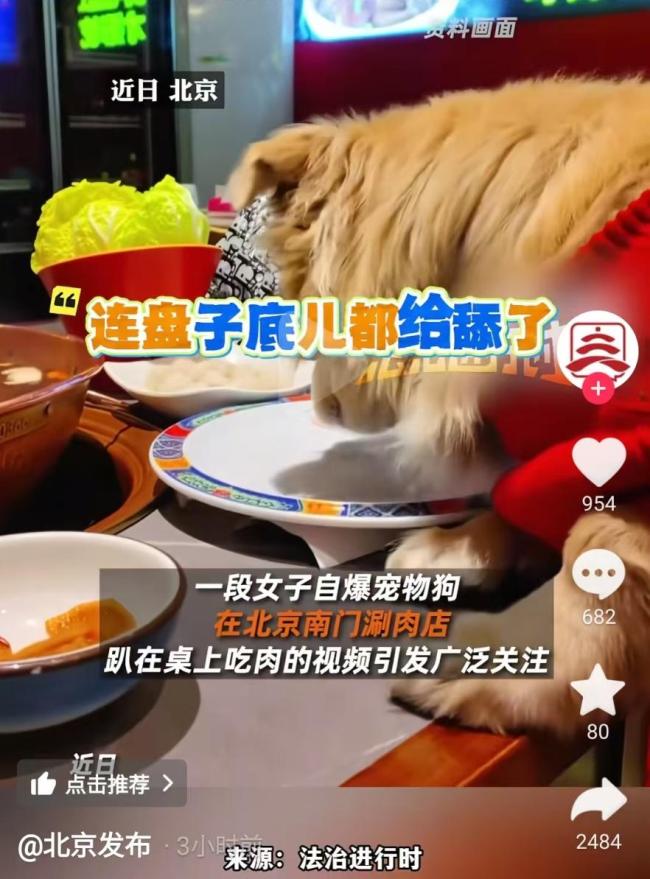 海底撈:停止攜寵就餐試點 爭議后調(diào)整政策