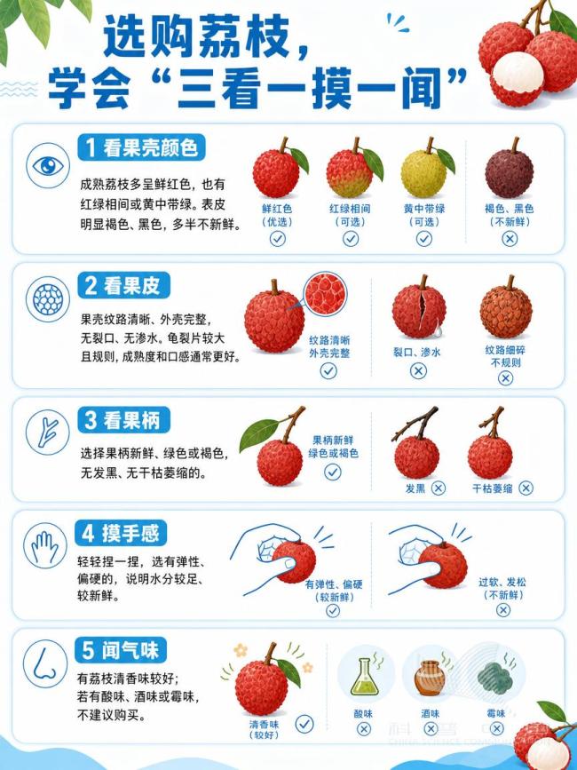 正大量上市！吃荔枝記住這個(gè)“安全量”，不同人群還不一樣 高糖水果需適量