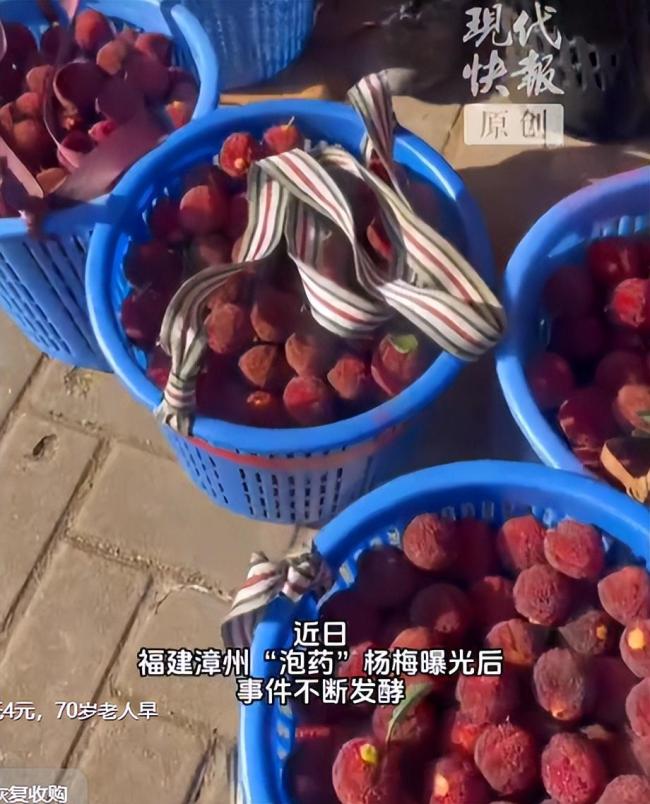 漳州当地杨梅恢复收购 销量回升发全国