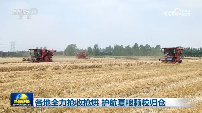 各地全力搶收搶烘 護(hù)航夏糧顆粒歸倉(cāng)