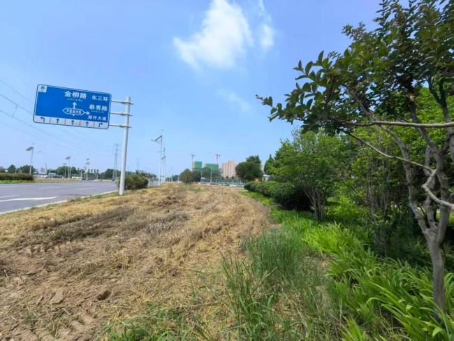 鄭州“特色”地鐵站：被小麥包圍 綠化帶種麥引熱議