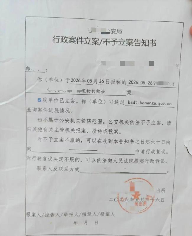 百萬粉絲網(wǎng)紅邊牧疑被偷宰殺 主人堅決維權