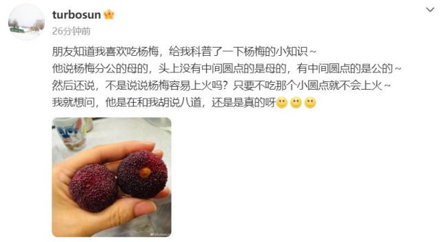 孙俪问杨梅分公母吗