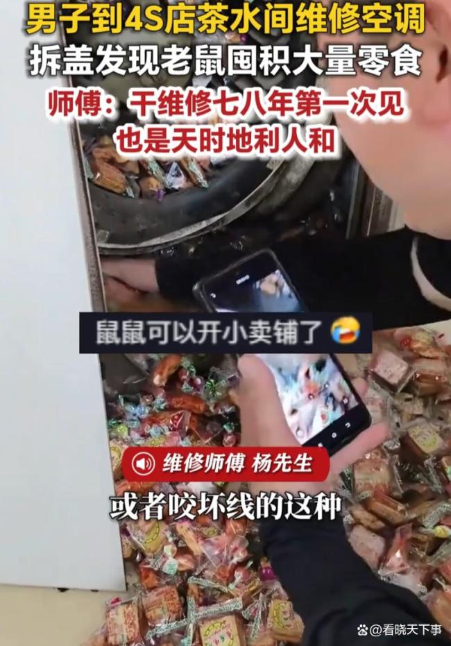 男子发现空调被老鼠囤满零食 鼠患隐患重重