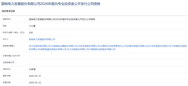 国电电力拟发行200亿公司债 项目获上交所受理