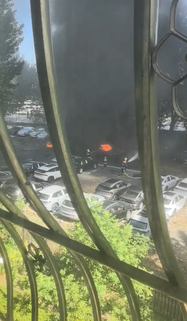 大连一空地多辆小车被烧成空架