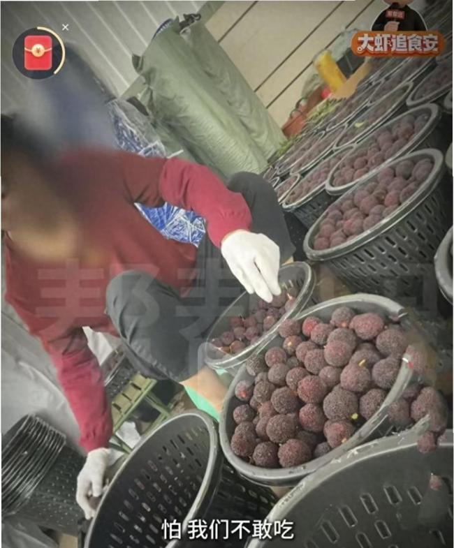 杨梅泡药类似事件为何屡禁不止