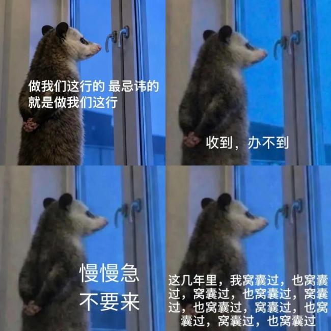 2026年最火表情包出现了 负鼠入侵打工人群聊
