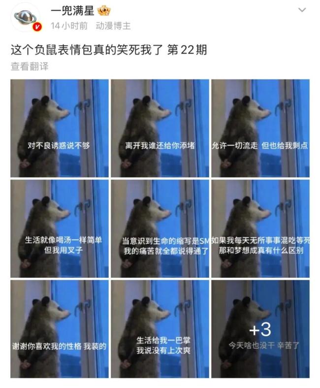 2026年最火表情包出現(xiàn)了 負(fù)鼠入侵打工人群聊
