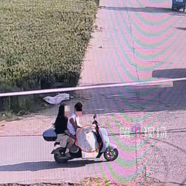 邊牧被偷后宰殺主人痛哭拒絕和解 8年伙伴遭無情對待