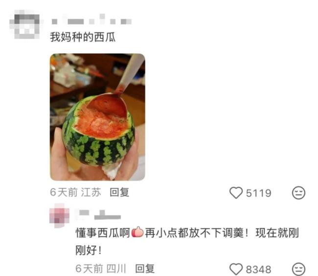 本人于5月種出了番茄 望周知：都市種地實(shí)錄引發(fā)熱議