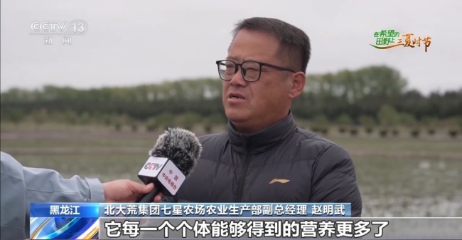 寒地水稻增產(chǎn)新招讓“不可能”成為現(xiàn)實