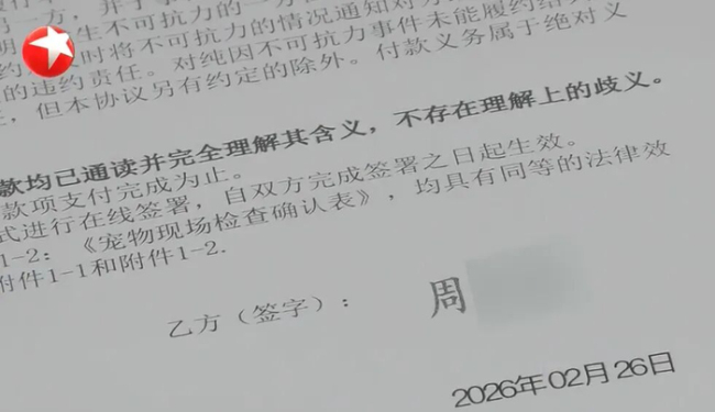 女子買貓背上高額貸款 低價購寵暗藏陷阱