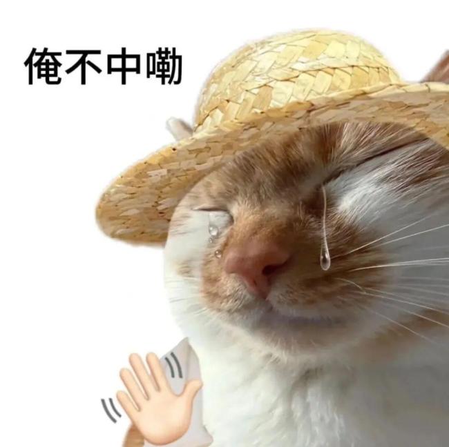 河南麦收太“能打”了，谁都比不过河南！