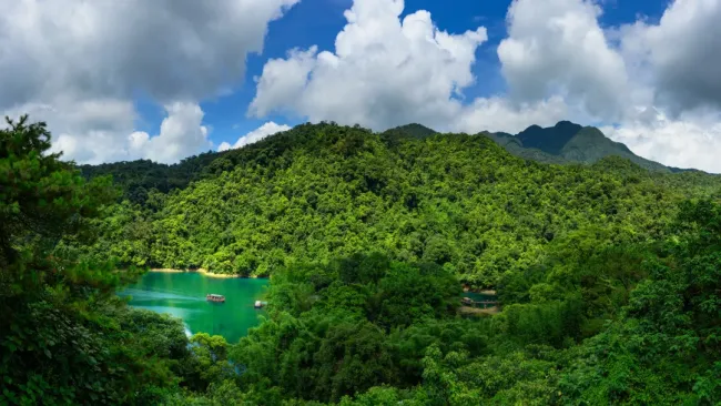 鼎湖山发现新物种 填补中国马陆动物地理分布空白
