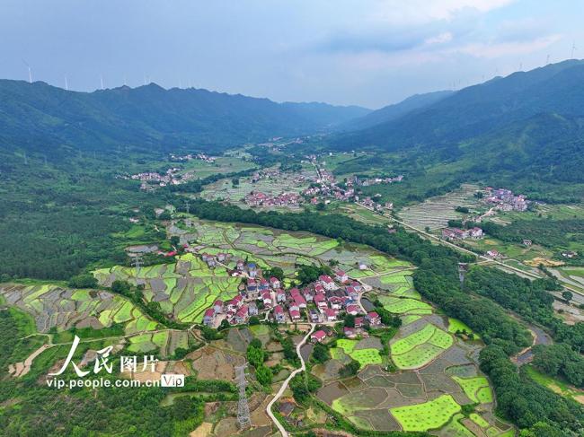 江西泰和：田園如畫