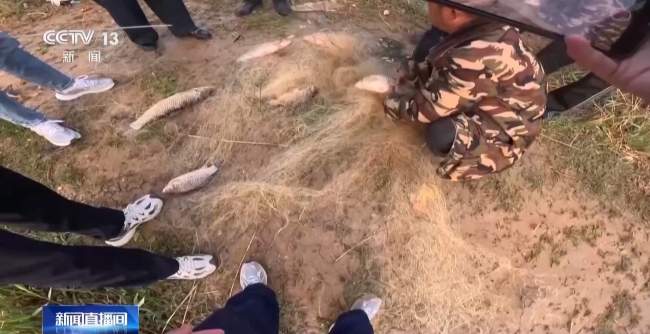 多次非法捕捞黄河鱼 两名嫌疑人落网 禁渔期内顶风作案