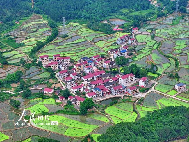 江西泰和：田园如画