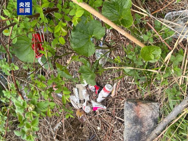 别被采菌帖误导 20余人违规进入苍山被依法查处