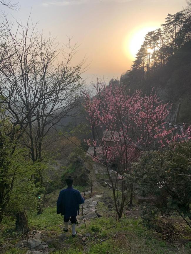 不想上班？辭職上山的年輕人最后還是下山了 修行不易