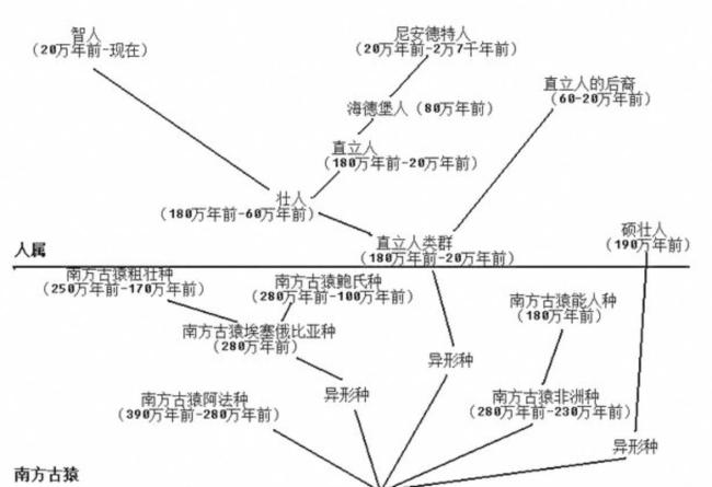 王嘉尔何猷君跳舞 圈层认同与价值取向