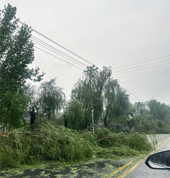 河北一地冰雹大如雞蛋砸爛成熟西瓜 農(nóng)戶損失慘重