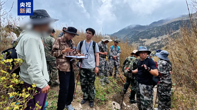 别被采菌帖误导 20余人违规进入苍山被依法查处