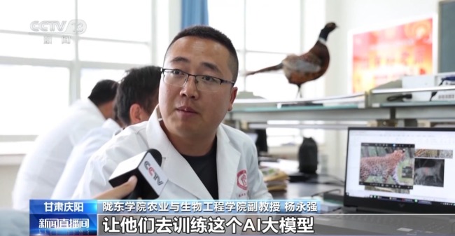 AI大模型識(shí)別 智能設(shè)備助力華北豹守護(hù)
