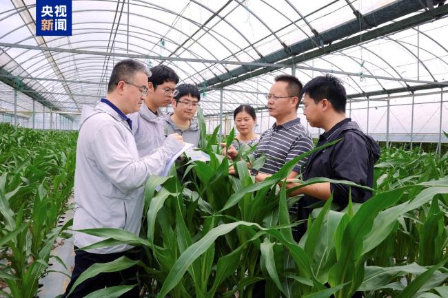 首飛成功、世界最大！多領域迎硬核突破 創(chuàng)新成果頻現(xiàn)