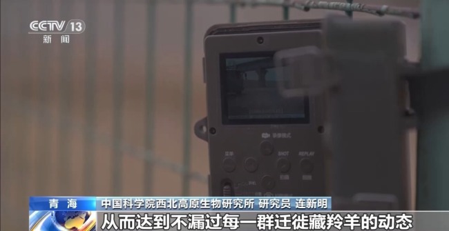 科技如何赋能美丽中国建设 多场景解锁