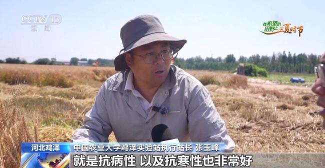订单护航+科技助力 各地抢抓农时守好“粮袋子”