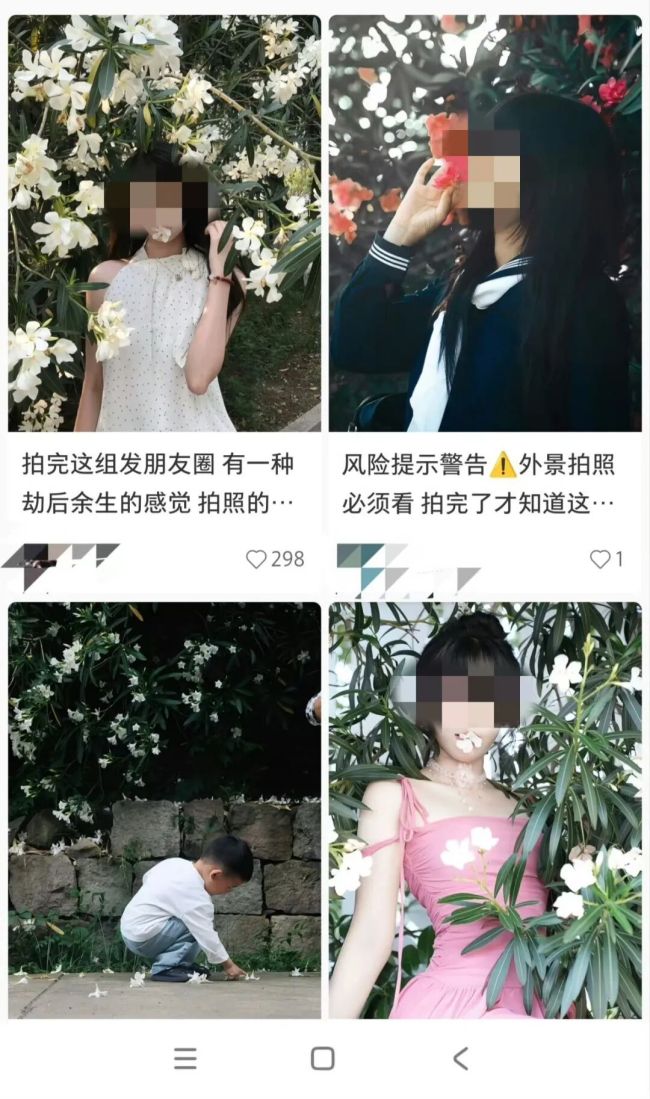 嘴含“網(wǎng)紅花”拍照后中毒 警惕夾竹桃毒性