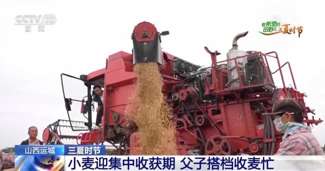 訂單護航+科技助力 各地搶抓農(nóng)時守好“糧袋子”