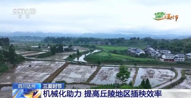 订单护航+科技助力 各地抢抓农时守好“粮袋子”