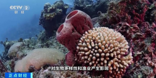 沙子已成全球第二大被过度开发资源：每年接近500亿吨