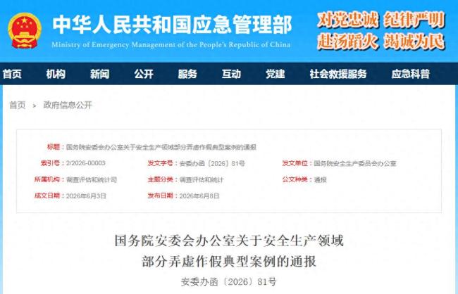 5起弄虚作假典型案例，通报！