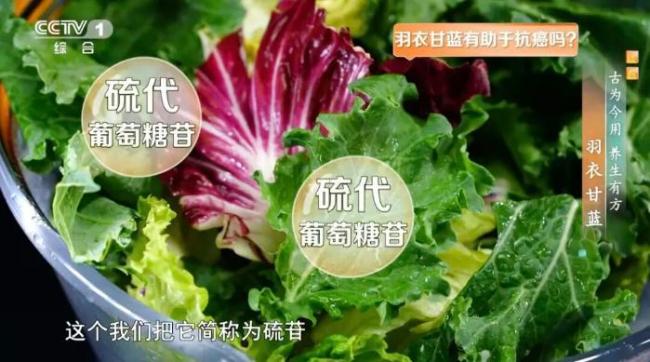 “超級食物”羽衣甘藍怎么吃 脆皮甘藍卷推薦