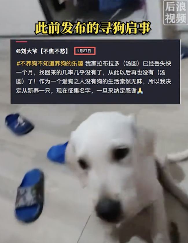 男子開車被狗追竟是丟失半年愛犬 忠心守候終重逢