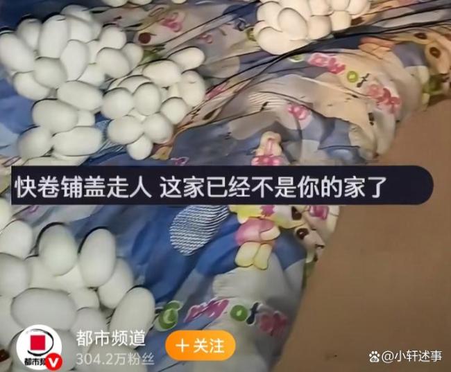 男子离家半年回家发现满屋蛇蛋 空置房屋惊魂记