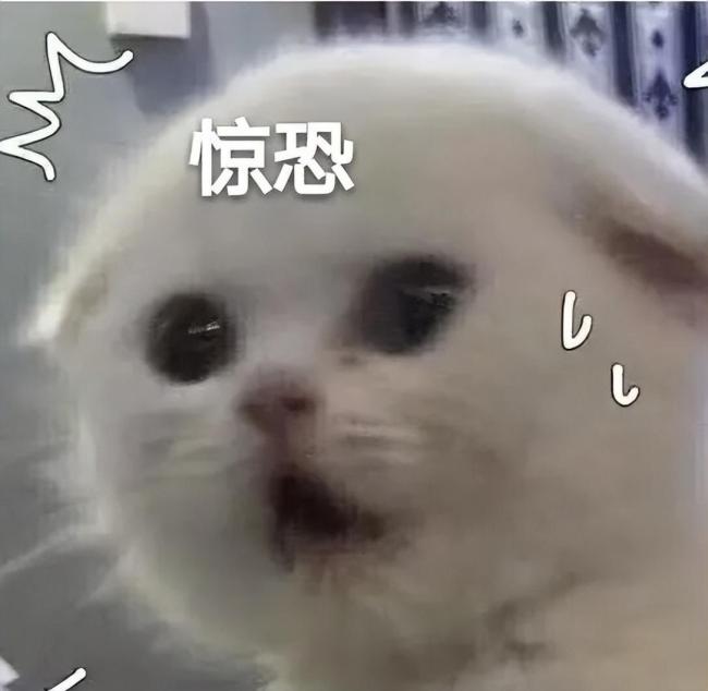 為什么爬山千萬(wàn)別穿白色雨衣 安全隱患大