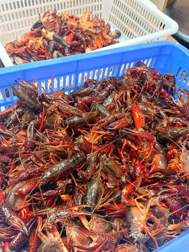 凌晨1點仍排長隊！長沙龍蝦店等位超300號
