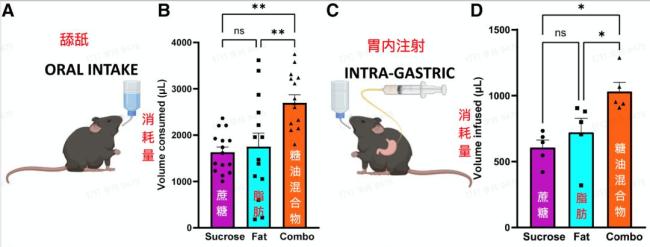 戒掉“糖油混合物”有多重要？