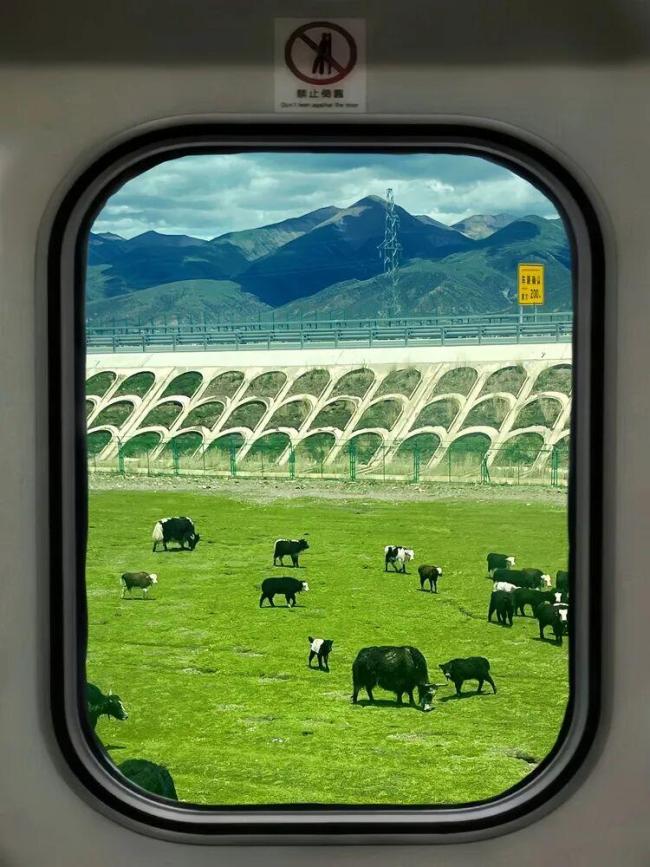 我的铁路风景|列车作笔,旅途成诗