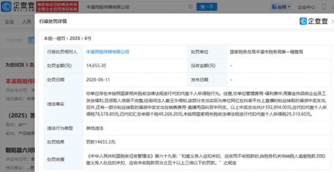 东北雨姐关联公司逃税被罚 福袋中奖支出引发税务问题