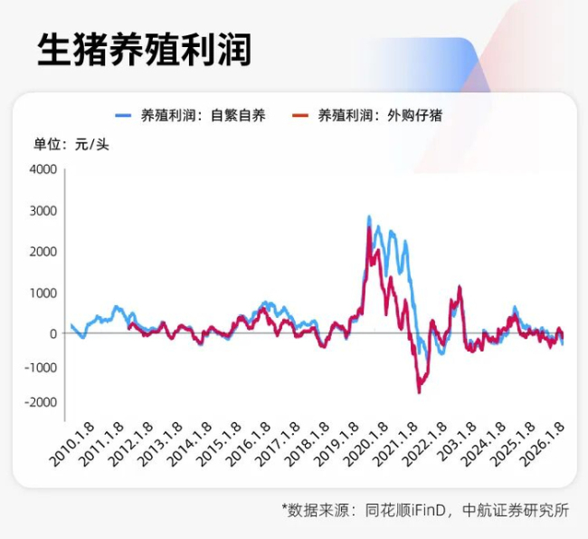 猪价创17年新低！专家预测：“地板价”不会再现，但拐点也不会来 养殖户面临深度亏损