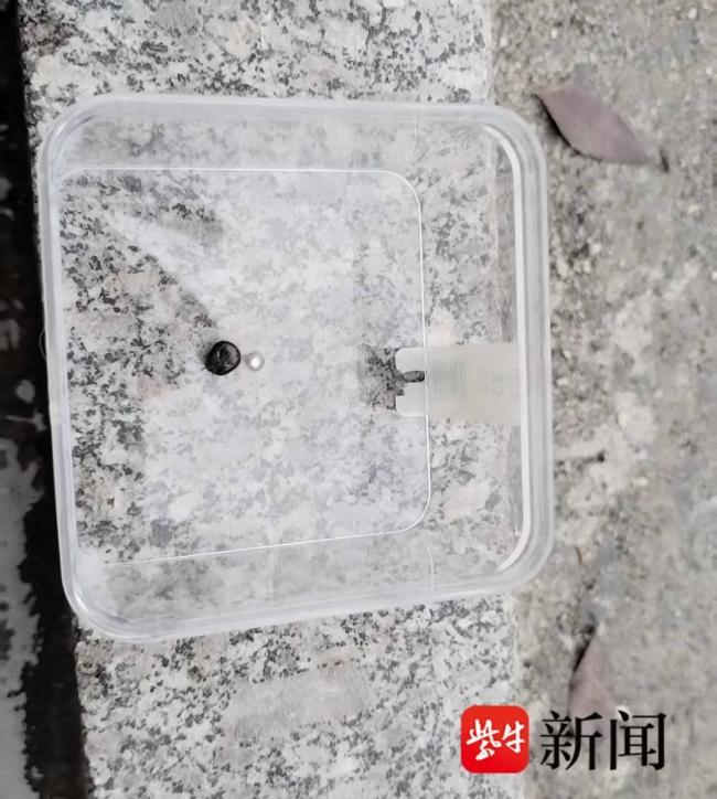 男子被蜱虫叮咬涂花露水使其脱落