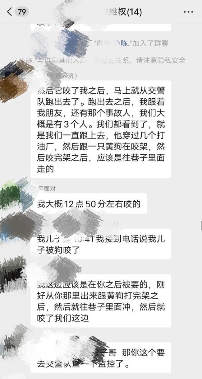 当地回应六岁女童被狗咬伤 多部门联合处置安全隐患